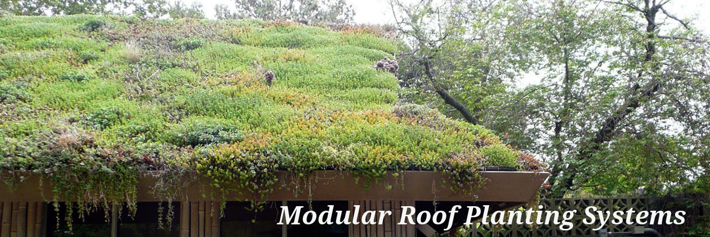 Modular Roof Planting Systems